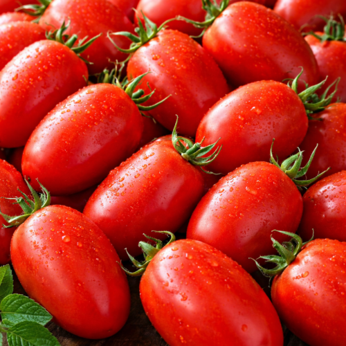 Tomato - Roma