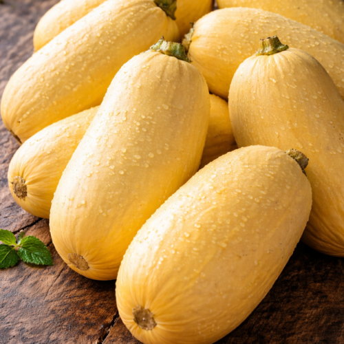 Spaghetti Squash (Per Piece)