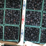 Blueberries in flat